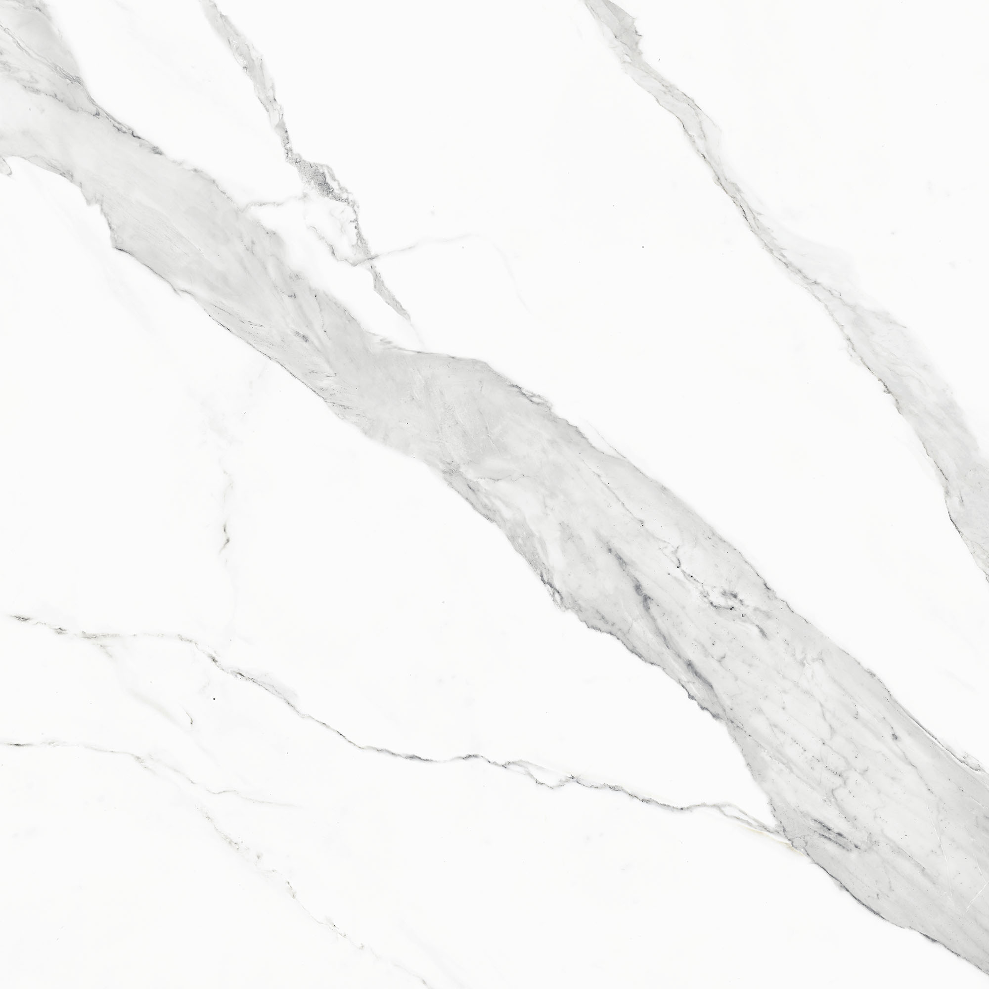 Porcelanato Calacata Classic Satiny 94x94 cm CASTELLI